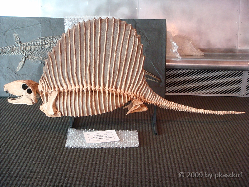 015 Cranbrook Institute of Science [2008 Jan 02].JPG